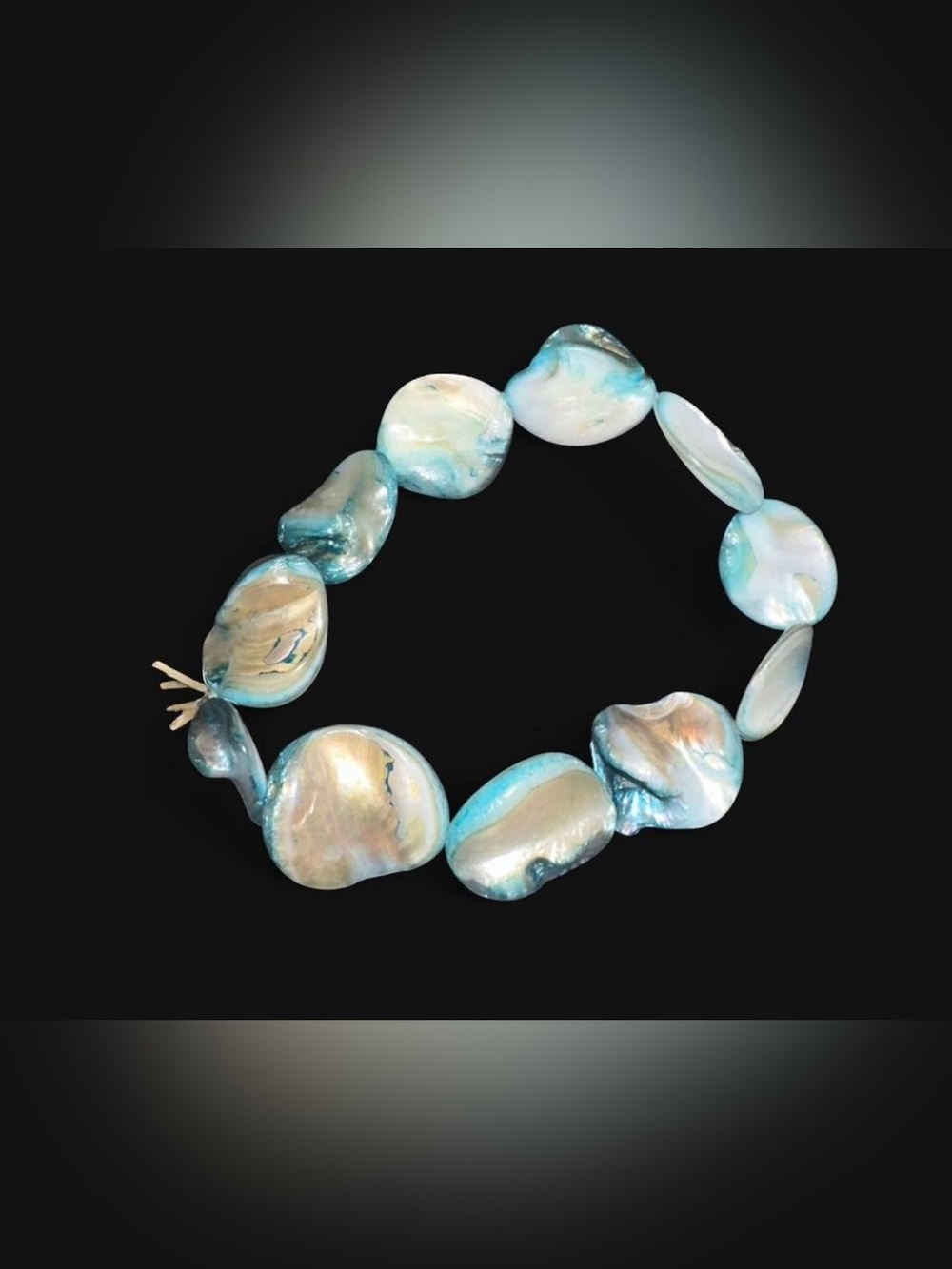 Shell Bracelet